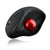 Adesso iMouse T30 - Wireless Programmable Ergonomic Trackball Mouse - GIGATE KSA