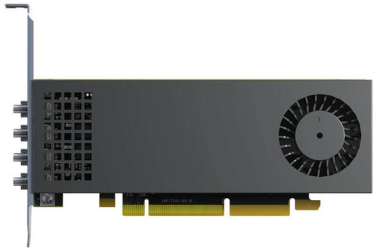 Ernitec VIKING-LUMA-A310FP Graphics Card