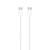 Apple MM093ZM/A USB cable 1 m USB C White - GIGATE KSA