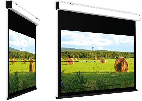 Screen International Compact Home Cinema VA 300cm x 188cm, 16/10 Format Non Tensioned Electric Screen, Matt White Surface, 30cm Black Drop and 5cm Black Borders - White case - 220v motor